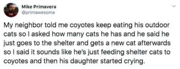 coyote food
